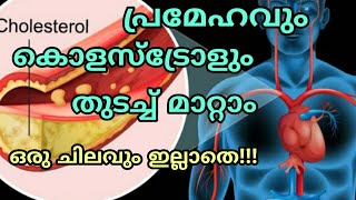 പൈസ മുടക്കാതെ മരുന്ന് കഴിക്കാതെ  പ്രേമേഹവും കൊളസ്ട്രോളും തുടച്ചു മാറ്റാം