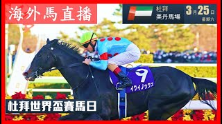 【海外馬直播】10:00pm 杜拜世界盃賽馬日 阿聯酋美丹馬場