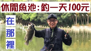 [釣魚達人#23] 休閒農場魚池釣魚一天100元, 在哪裡? 在畫眉農莊釣超大吳郭魚. Leisure Farm pond fishing NT$100 yuan a day and where?