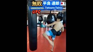 【今日 試合】16-1...UFC 平良達郎🇯🇵 Tatsuro Taira