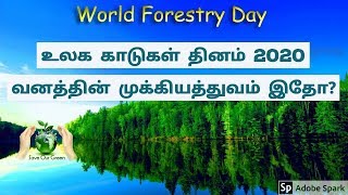 World forest day | உலக வன நாள் | தமிழ் கதை| kutties Tamil Stories