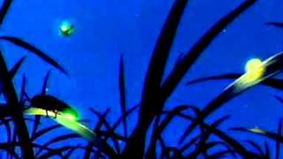 FIREFLY -LUCIERNAGA- Music of The 70s-.