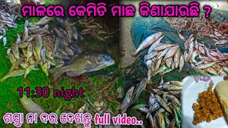 ମାଳ ମାଛ କାହାକୁ କୁହନ୍ତି ଦେଖନ୍ତୁ full video🦀🦐ଶସ୍ତା କି ମାହାଙ୍ଗା video ଦେଖିଲେ ହିଁ ଜାଣିବ @TapanVlogs6262