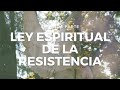 🕊⚜️ Ángel nÚmero 53 ⚜️🕊 la ley espiritual de la resistencia las leyes espirituales universales ✨