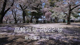 高崎城址 2022 桜  桜吹雪と花筏