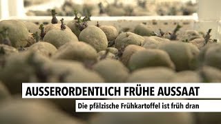 Außerordentlich frühe Aussaat | RON TV |