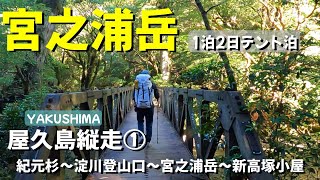 【屋久島①】宮之浦岳・新高塚小屋でテント泊！2023.8.20