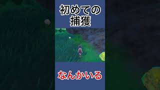 【ポケモンSV】初心者、初めての捕獲