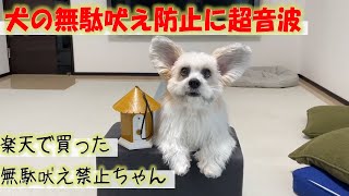 犬の無駄吠え防止グッズを楽天で購入して試してみました。吠えると発出超音波、無駄吠え禁止ちゃん。