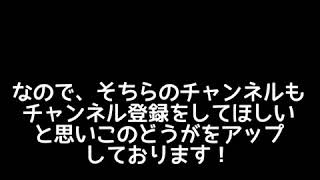 サブチャンネル紹介概要欄必見