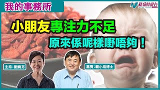 【我的事務所】小朋友無法專注學習？試下食呢種健康食品！｜蘋果果膠 牛黃素｜顧小培 劉婉芬