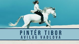 Pintér Tibor  - A világ vadlova