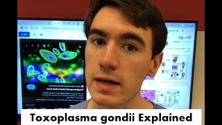 Toxoplasmosis EXPLAINED! (Toxoplasma gondii)