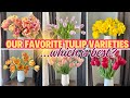 The Tulip Varieties You Should Plant for a Beautiful Spring Garden! (Sharing Our TOP Favorites)