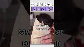 These Memes are Criminal!