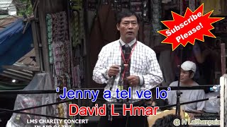 Jenny a tel ve lo || David L Hmar || LMS Charity Concert 2019