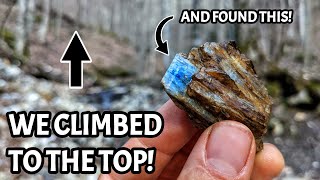 We Climbed THOUSANDS of Feet up a Mountain To Look For Rare Kyanite, Aquamarine, and Beryl Crystals!