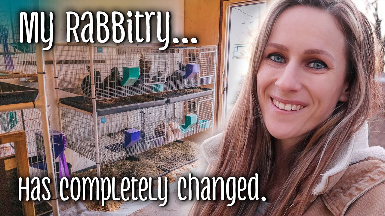 My Rabbitry... has completely changed - Also, meet Mirin!