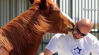 Horses help veterans heal