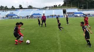 191004 고성금강통일배 전국유소년축구 U8 춘천조마 VS UWFA FC 전반전 0:0