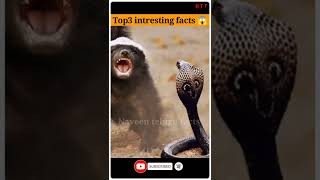 top3 amazing facts 😱||🔰 unknown facts 🔰||💥 Naveen telugu facts #shorts #facts #telugufacts #viral