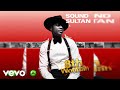 Sound Sultan - Jungle (Official Audio)