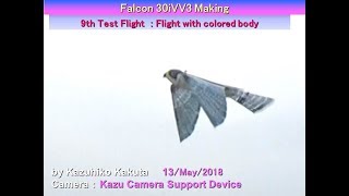 Making of Falcon 30iVV3  : 9th Test Flight  Flight with colored body