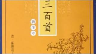 041 子夜四时歌·秋歌 李白