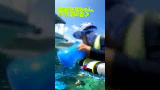 【石垣島】2歳浮き輪と箱メガネ、5歳マスクデビュー！家族水入らずの貸切ツアー！9月6日シュノーケリング動画