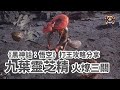 《黑神話：悟空》 九葉靈芝精 精魄 火燎三關 - 打王攻略分享 第五回 （Black Myth: Wukong - Boss Fight Nine Capped Lingzhi Guai）