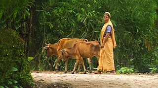 ইতিহাসের সাক্ষী রংমহল গ্রাম