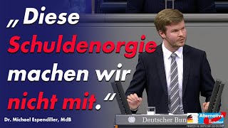 AfD im Bundestag - \