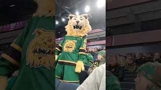 CHL game day 5 feelings Ilves - FBK.