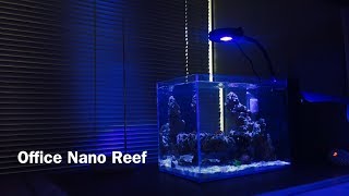 9G Peninsula Nano Reef | Maturing \u0026 Making Moves