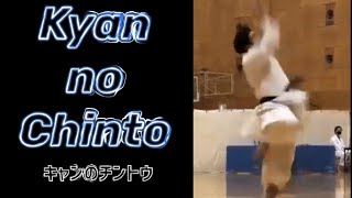 Kyan no Chinto NEW WKF KATA Gakuji Tozaki USA キャンのチントウ