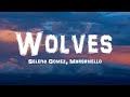 Selena Gomez, Marshmello - Wolves (Lyrics)