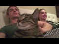 Dave Franco is a Big Time Cat Guy