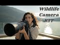 What's in my Camera Bag? Wildlife Photography in Alaska Edition