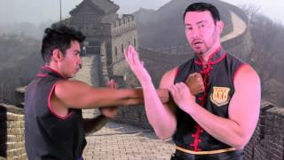 Learn Wing Chun's Tan Sau in One Minute | Sifu Tei