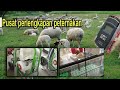 Komplit dan murah, perlengkapan peternakan kambing domba sapi