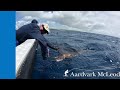 How To Catch Sailfish in the Seychelles