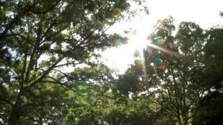Video Journal - Day 1, Franklin County