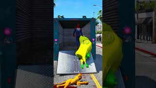 GTA V : LIONESS SAVING SUPER-COW FROM SPIDER-MAN 😯| #shorts