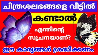 വീട്ടിൽ ചിത്രശലഭങ്ങൾ വരാറുണ്ടോ?എങ്കിൽ ഈ കാര്യങ്ങൾ മറക്കാതെ ചെയ്യണം