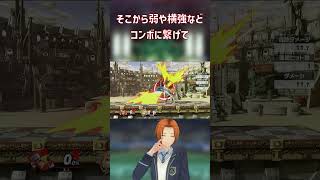 初心者向けテリー講座part25テリーの強いガーキャン行動#スマブラsp #テリー