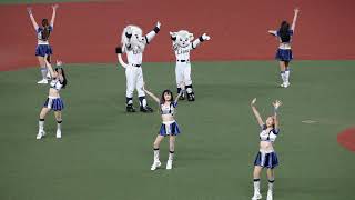 Saitama Seibu Lions Official performer   Bluelegends 2020