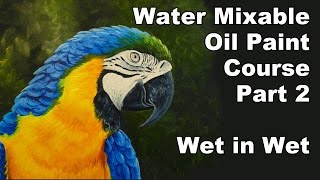 how to paint with water mixable oil paint part 2 wet in wet parrot animals techniques