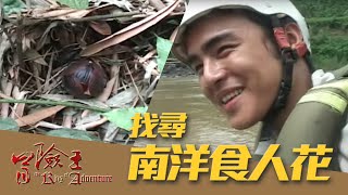 【冒險王】【馬來西亞】找尋南洋食人花 EP03