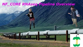 RNA Seq Pipeline Overview !