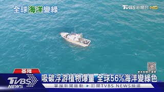 有毒藻類海中增生 海豚海獅驚傳暴斃潮｜十點不一樣20230731@TVBSNEWS01